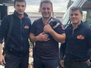 İ̇ş Yerinin Havalandırma Boşluğuna Sıkışan Yavru Kediyi İtfaiye Kurtardı