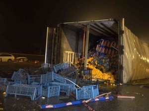 Bursa’da Meyve Yüklü Tır Devrildi : 1 Yaralı