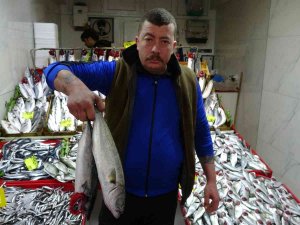 Lüfer Ve Palamut Cep Yakıyor