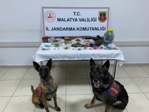 Jandarmadan 4 Adrese Uyuşturucu Operasyonu