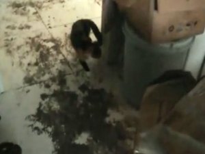 Kiraya Verdiği Evin Halini Görünce Şok Oldu