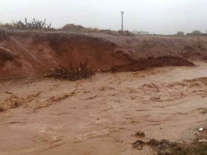 Mardin’de Şiddetli Yağmurda Dereler Taştı