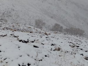 Malatya’da Kent Merkezinde Yağmur, Yüksek Kesimlerde Kar Yağışı