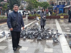 Köpek Hasta Güvercinin Başında Bekledi