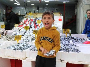 Havalar Soğudu, Balığa İlgi Arttı