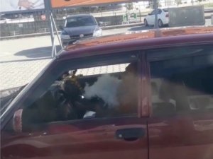 Sürücünün Otomobilde Nargile Keyfi