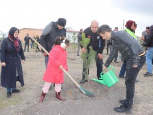 Çifteler’de Sağlık Şehitleri Adına Hatıra Ormanı