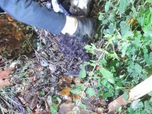 Tellerin Arasındaki Kediyi Kurtardılar