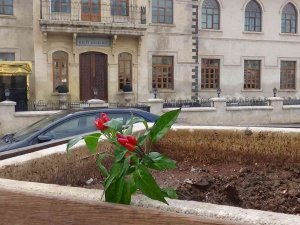 Ümit Özdağ Fidan İstedi, Partililer Süs Biberi Dalı Dikti