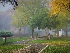 Diyarbakır’da Yoğun Sis Tarihi İlçede Görsel Şölen Oluşturdu