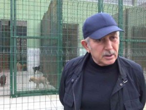 Başkan Sarı Hayvan Barınağında Denetim Yaptı: “Sokak Hayvanları Bizim Misafirimiz”