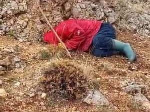 Sürü Otlatan Çoban Tesadüfen Buldu, Çobanın Sözleri Görüntüye Damga Vurdu