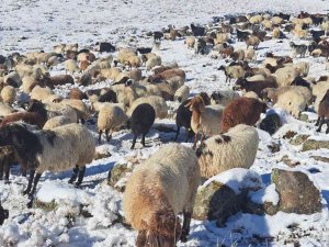Türkiye’nin En Yüksek Rakımlı Köyüne Mevsimin İlk Karı Yağdı