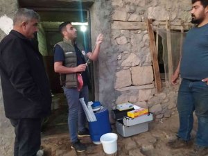 Siirt’te Etçi Ve Kombine Irkların İlk Buzağıları Dünyaya Geldi