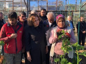 Yılmaz, Silifke’de Doludan Zarar Gören Seralarda İncelemelerde Bulundu