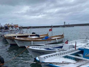 Balıkçılar Hamsiden Umutsuz