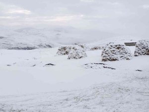 Diyadin’e Mevsimin İlk Karı Yağdı