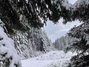 Düzce’ye Mevsimin İlk Karı Düştü