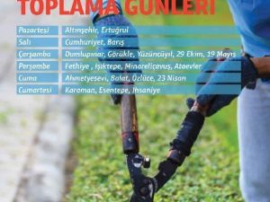 Nilüfer Belediyesi Budama Atıklarını Topluyor