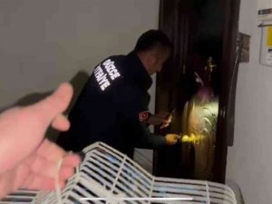 İ̇tfaiye Mahsur Kalan Muhabbet Kuşunu Kurtardı