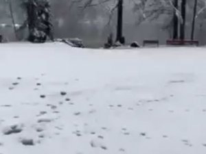 Borçka Karagöl’e Mevsimin İlk Karı Yağdı