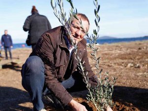 Dünya Zeytin Ağacı Günü’nde Zeytin Diktiler