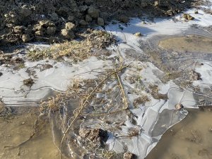 Soğuk Hava Ağrı’yı Etkisi Altına Aldı