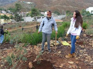 Sosyal Medyadan Haberleştiler, 500 Fidan Diktiler