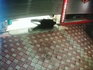 Çantasını İş Yerinde Unuttu, Film Sahnelerini Akla Getiren Görüntü Ortaya Çıktı