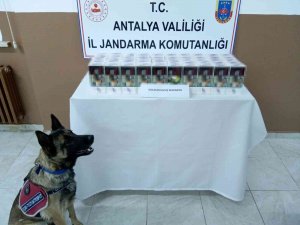 Yolcu Otobüsünün Bagajından 10 Bin Adet Doldurulmuş Makaron Yakalandı