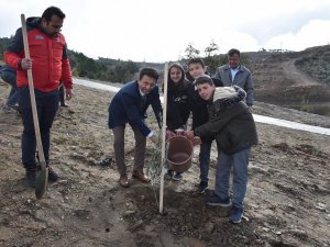Muğla’da ’Dünya Zeytin Günü’ Kutlandı