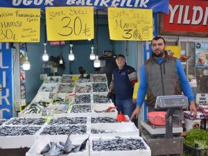 Ordu’da Tezgahlarda Hamsi Bolluğu: Fiyatı 30 Liraya Düştü