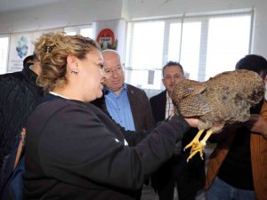 Menteşe’de Kümes Hayvanları Gösterisi