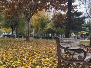 Batman’da Sonbahar Yaprakları Süpürülmeyecek