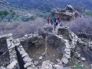 Latmos’ta Zeytincilik Yapılan Yerleşim Yerleri Harabeye Dönüyor