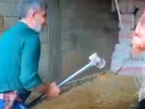 Mardin’de Boğanın Kafasına Balyoz İle Vuran Kasap Gözaltına Alındı