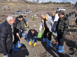 Sarıkamış Şehitleri Anısına 1914 Fidan Toprakla Buluştu