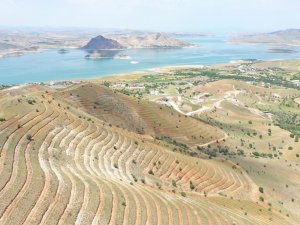 Tunceli’de 56 Bin Fidan Toprakla Buluştu