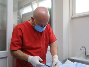 Edremit Belediyesi 7/24 Sokak Hayvanlarının Yanında