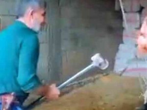 Mardin’de Boğaya Balyozlu Şiddette 3 Kişi Tutuklandı