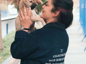 Kuşadası’ndaki Hayvan Rehabilitasyon Merkezi İnternetten Canlı Olarak İzlenebiliyor