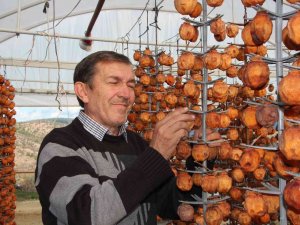 Kurutmaya Bıraktıkları Cennet Hurmalarına Adeta Çocuk Gibi Bakıyorlar
