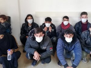 Osmaniye’de 10 Düzensiz Göçmen Yakalandı