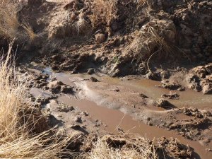 Mandıra Atıklarından Rahatsız Olan Çiftçi İsyan Etti