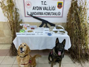Aydın’da Eş Zamanlı Uyuşturucu Operasyonu: 26 Gözaltı