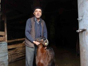 Kilisenin Sahipleri: “Babamızdan Miras Kalan Kilise Tapulu Malımızdır, Burası Tescili Bir Yapı Olduğu İçin Yıkamıyoruz"