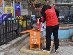 Sokaktaki Canlar Mamaya Kolayca Ulaşıyor