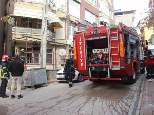 Yanan Evden Çıkarılan Kediyi Hayatta Tutma Mücadelesi