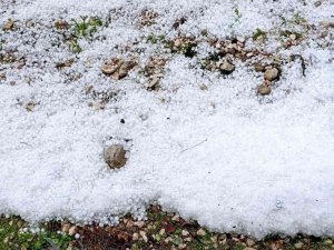 Antalya’da Dolu, Portakal Bahçelerine Ve Seralara Zarar Verdi
