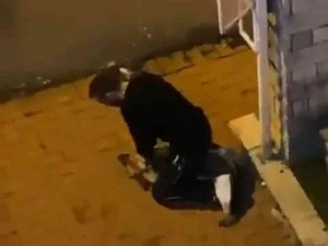 Sarıyer’de Köpeği Boğmaya Çalışan Şüpheli Tutuklandı